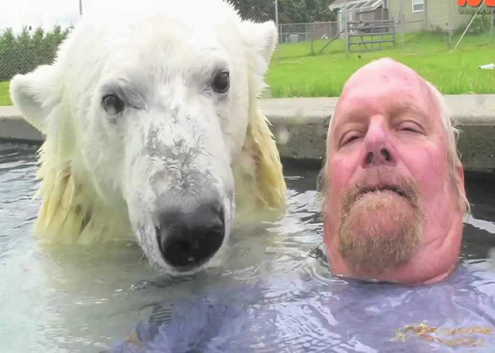Watch This Man Who Can Swim With A Polar Bear