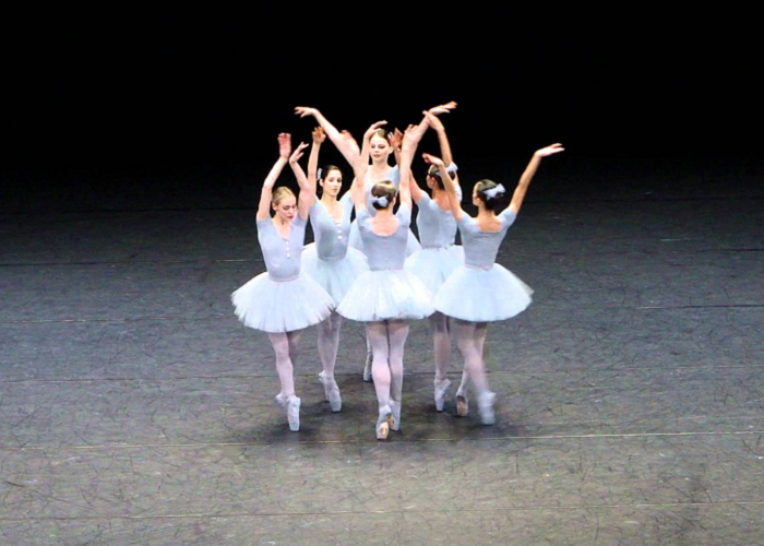 Watch This Very Funny Ballet Performed In Vienna State Opera
