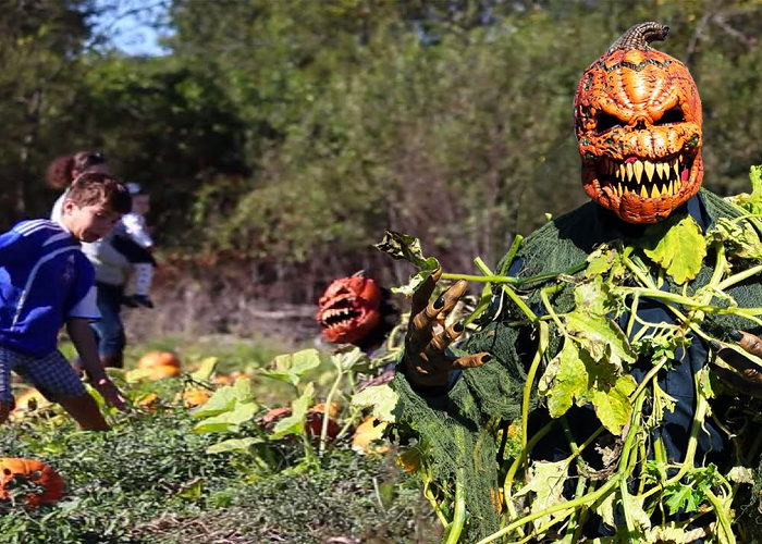 Watch This Scary Pumpkin Patch Killer Halloween Prank