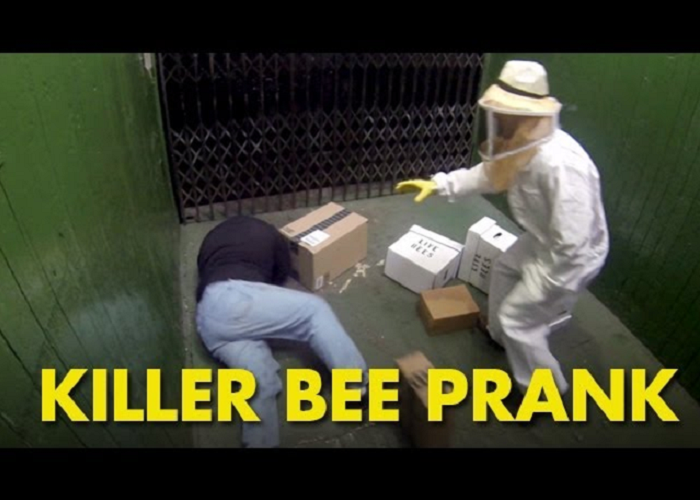 Watch This Killer Bee Prank