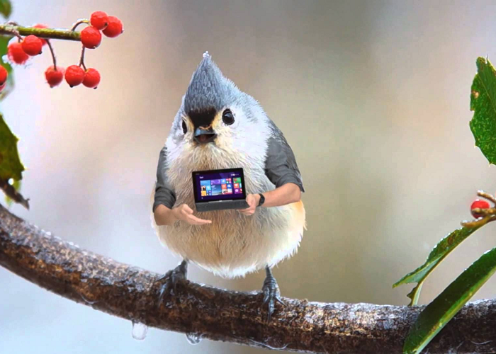 See The World’s Most Modern Bird - ASUS T100 Commercial