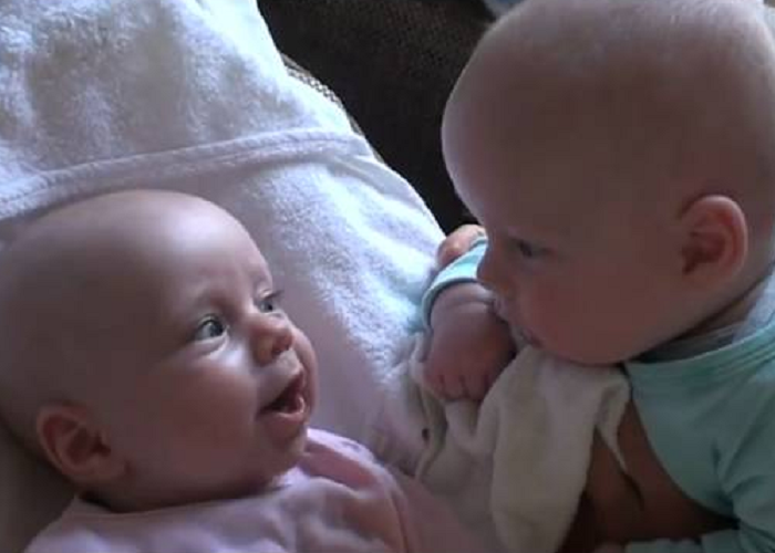 These Cute Twins Are Having A Serious Talk With Each Other