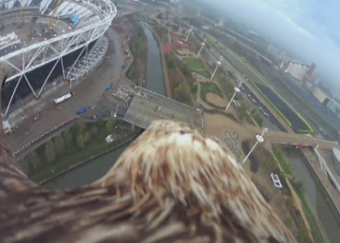 See How London Looks Like From The Back Of An Eagle