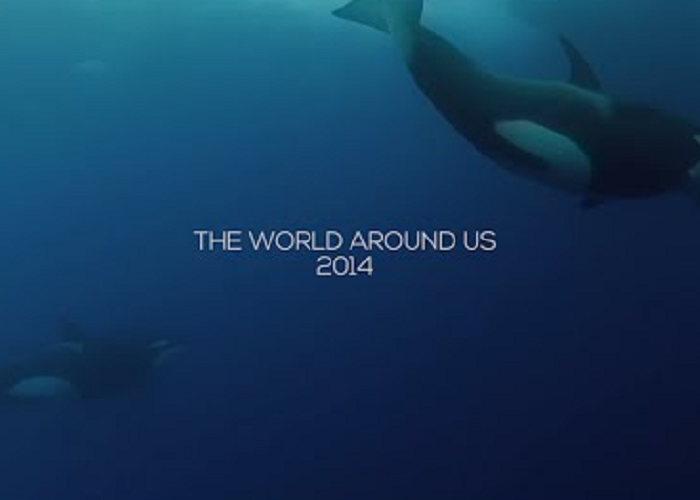 Watch "THE WORLD AROUND US: 2014"