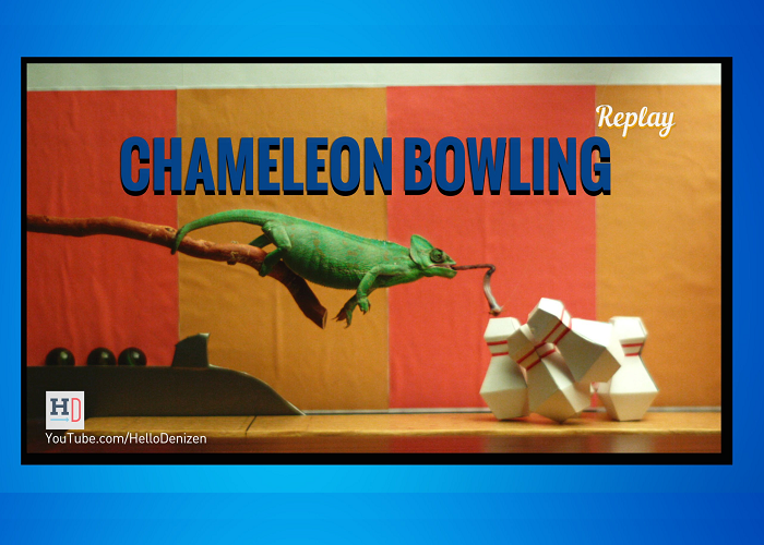 Do You Think Chameleon Bowling Could Be A REAL Sport?!