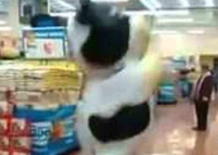 See This Funny Supermarket Cow Dance