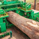 Watch Giant Logs Become Beautiful Wood Tables Inside a Massive Sawmill Watch Giant Logs Become Beautiful Wood Tables Inside a Massive Sawmill