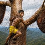 Wild Honey Hunting Deep in the Jungle Gets Seriously Intense Wild Honey Hunting Deep in the Jungle Gets Seriously Intense