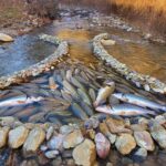 This Unbelievable Fishing Technique Lands a Seriously Big Fish This Unbelievable Fishing Technique Lands a Seriously Big Fish