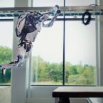 These Boston Dynamics Robots Make Parkour Look Almost Human These Boston Dynamics Robots Make Parkour Look Almost Human