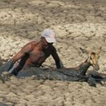 This Dramatic Impala Rescue Pulls a Trapped Animal From the Mud This Dramatic Impala Rescue Pulls a Trapped Animal From the Mud